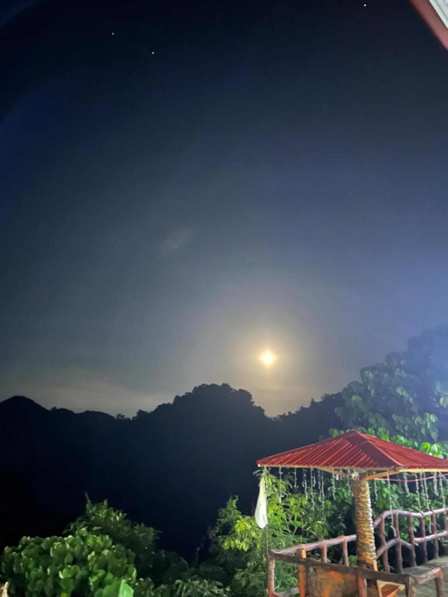 C View Resort Sipalay Εξωτερικό φωτογραφία